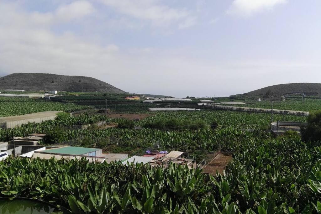 Bonito Y Amplio Piso En Los Llanos De Aridane Exteriér fotografie